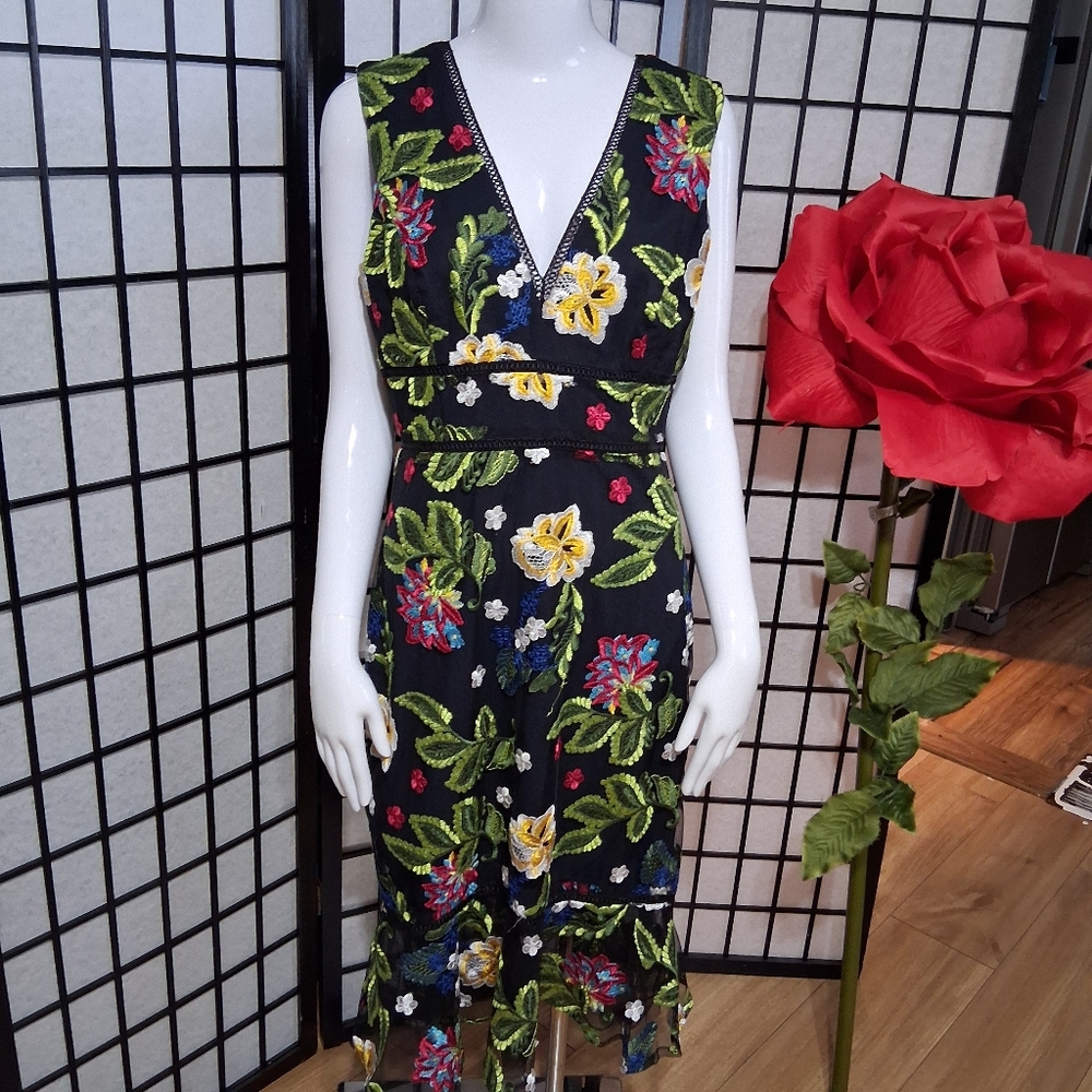 Badgley Mischka Black Dress with Colorful Floral Embroidery
